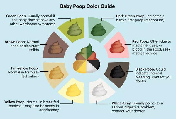 Baby Poop Color Chart: A Guide for Parents | Omumsie – omumsie