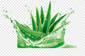 ingredient